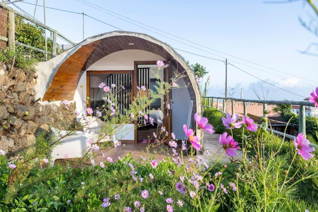 Espacio Antares Icod De Los Vinos Dış mekan fotoğraf