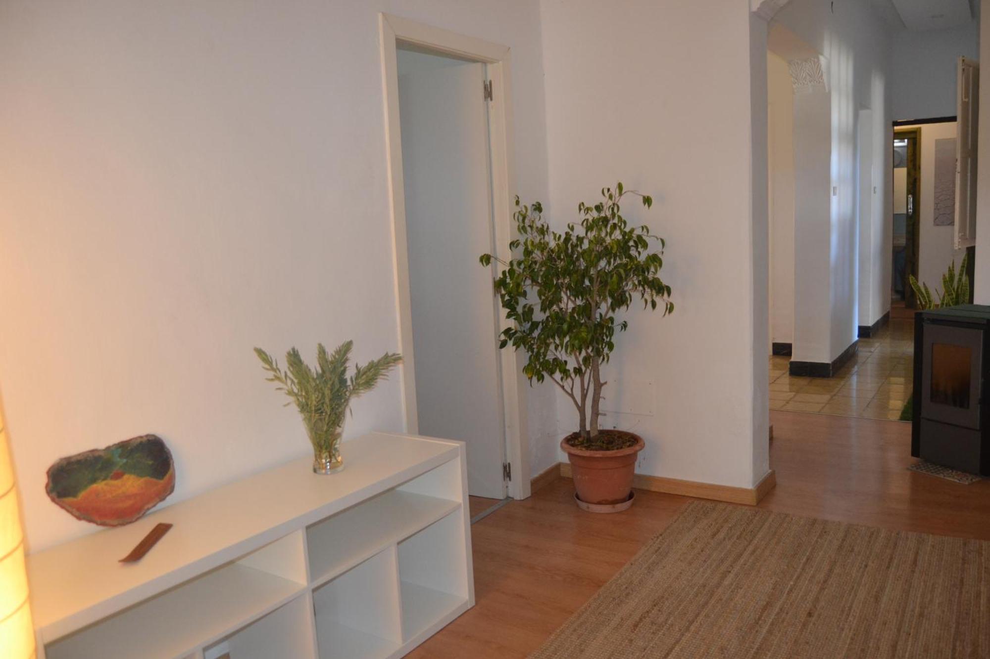 Espacio Antares Icod De Los Vinos Dış mekan fotoğraf